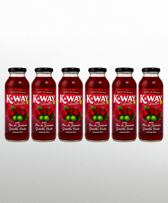 Jugos Flor de Jamaica - Grosellas verdes - Pack 6 botellas 300 cc